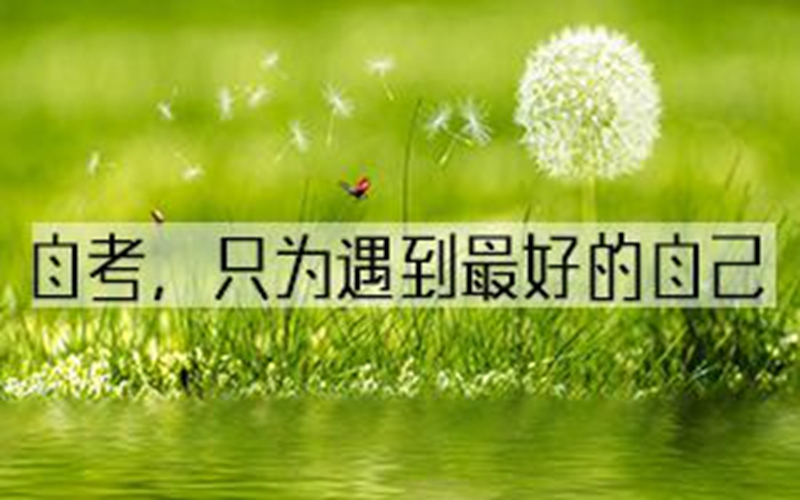 自学考试 自学考试